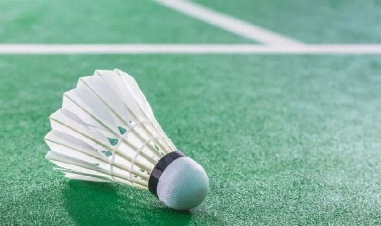 Bí Quyết Cá Cược Cầu Lông Tại N88: Hướng Dẫn Từ A-Z 1 cầu lông tại N88