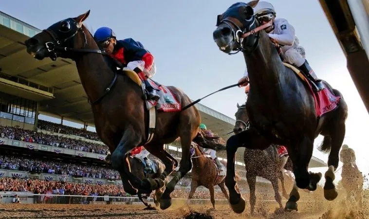 Cần tìm hiểu kỹ về ngựa chiến khi cá cược đua ngựa N88